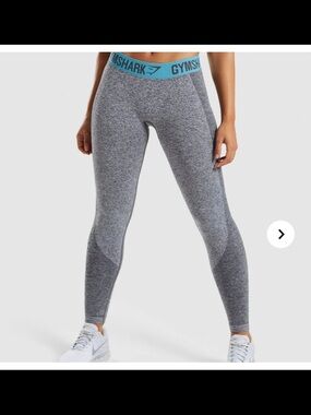 Gymshark Gray Teal Flex Seamless Workout Leggings – XS